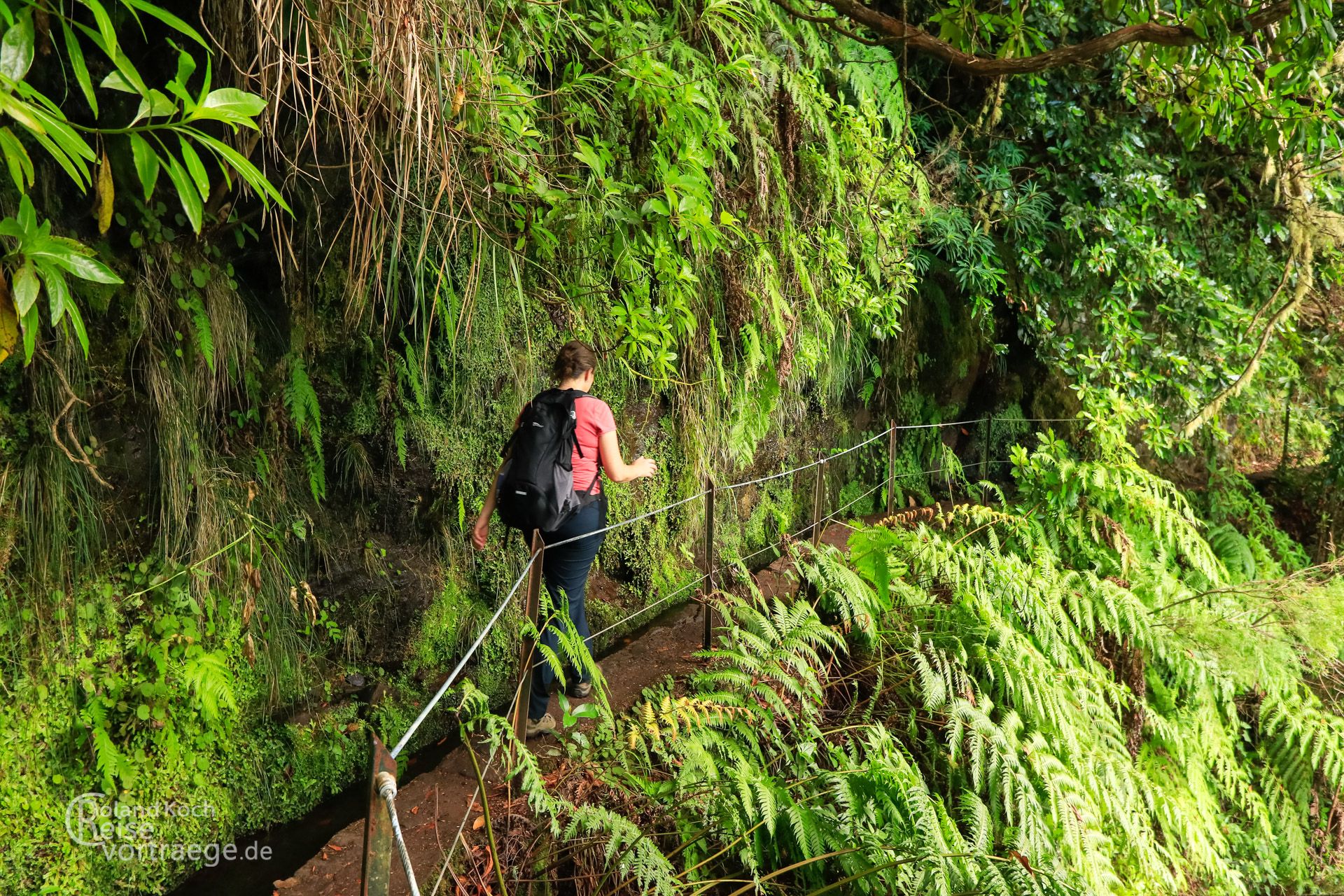 Maderia - Levada do Caldeirao Verde